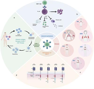 The advent of chimeric antigen receptor T Cell therapy in recalibrating immune balance for rheumatic autoimmune disease treatment